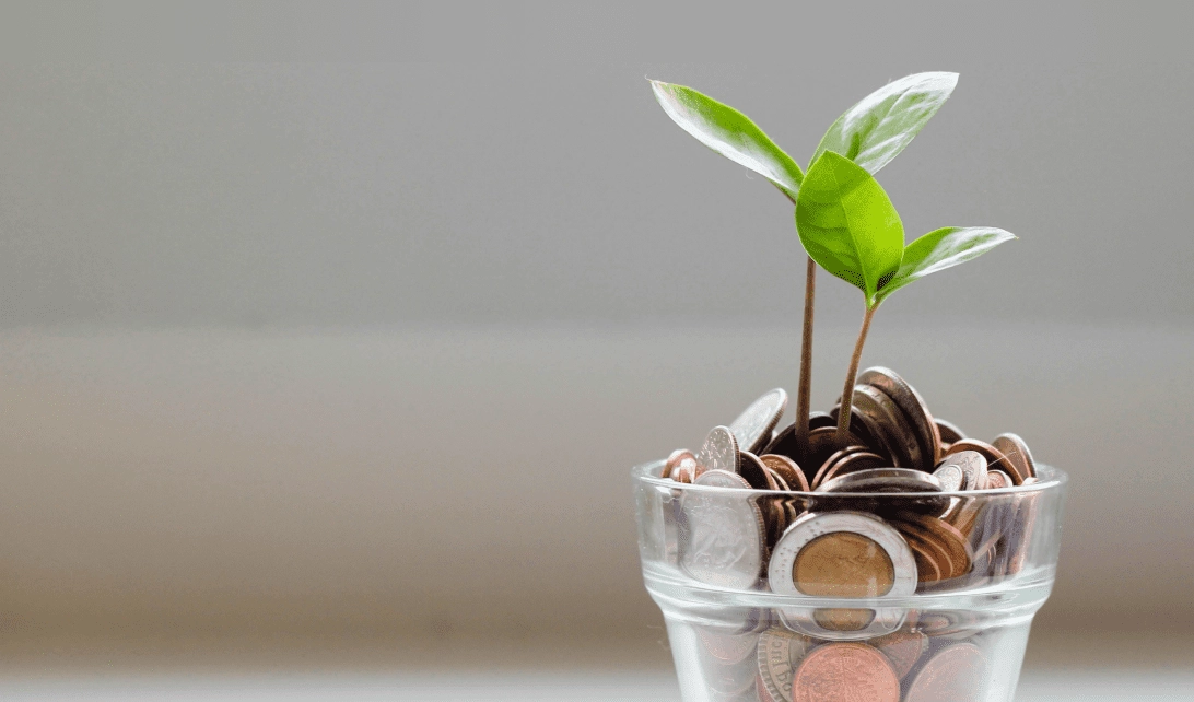 Фото 1 - Сопровождение инвестиций для иностранных стартапов